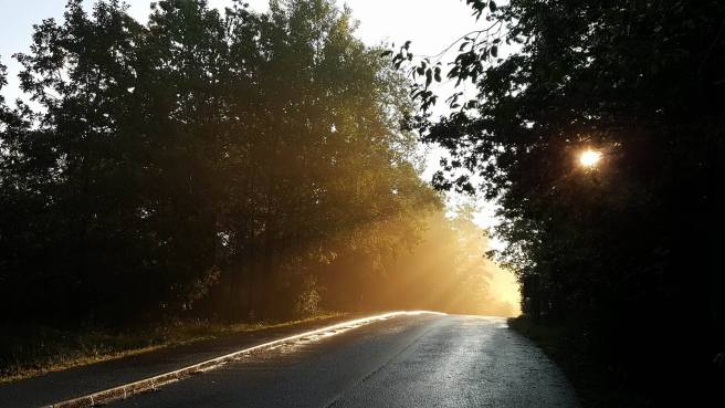 22449454_10214859500300506_46579424_o