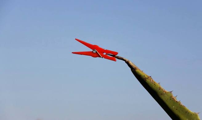 55945065_1569931646475239_1517349221974409216_o